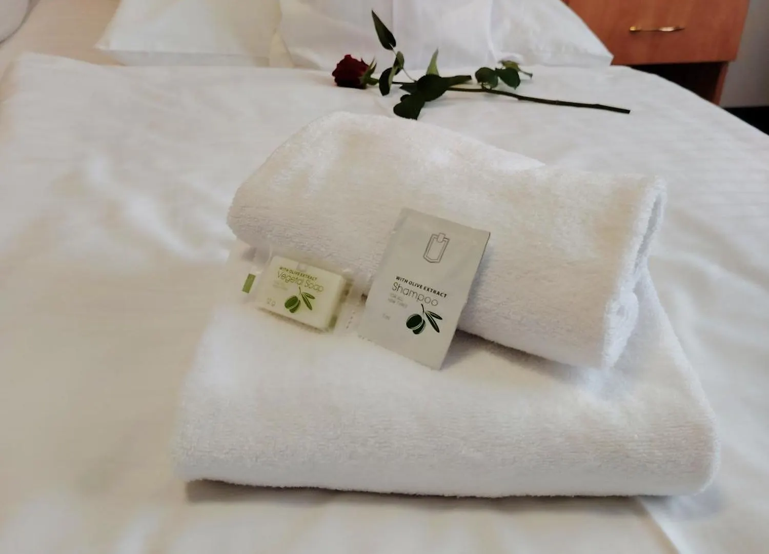 ***  פראג Hotel Legie צ'כיה